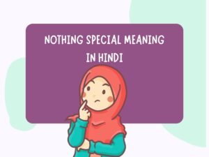 Nothing Special Meaning in Hindi