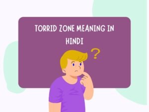 Torrid Zone Meaning in Hindi