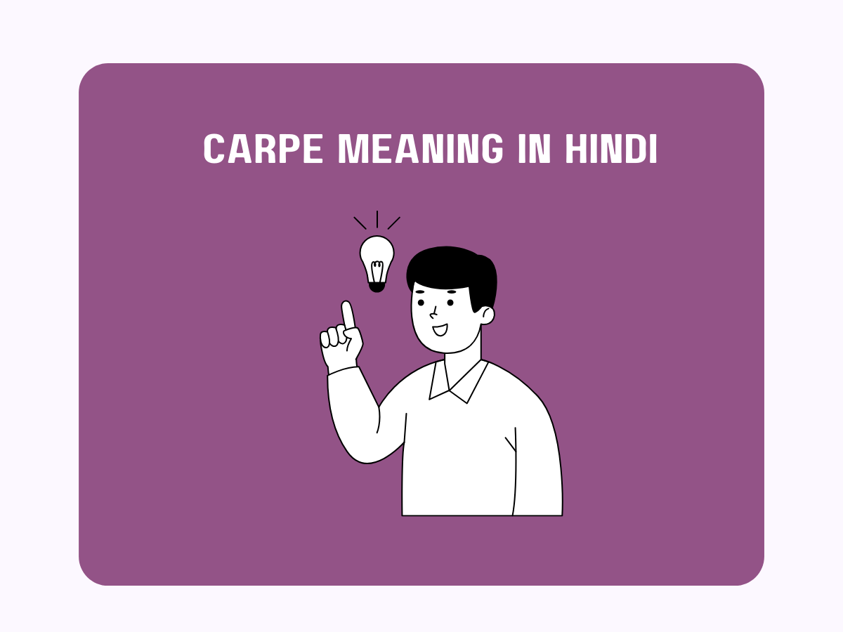 carpe-meaning-in-hindi-pedia-company