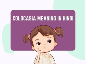 Colocasia Meaning In Hindi