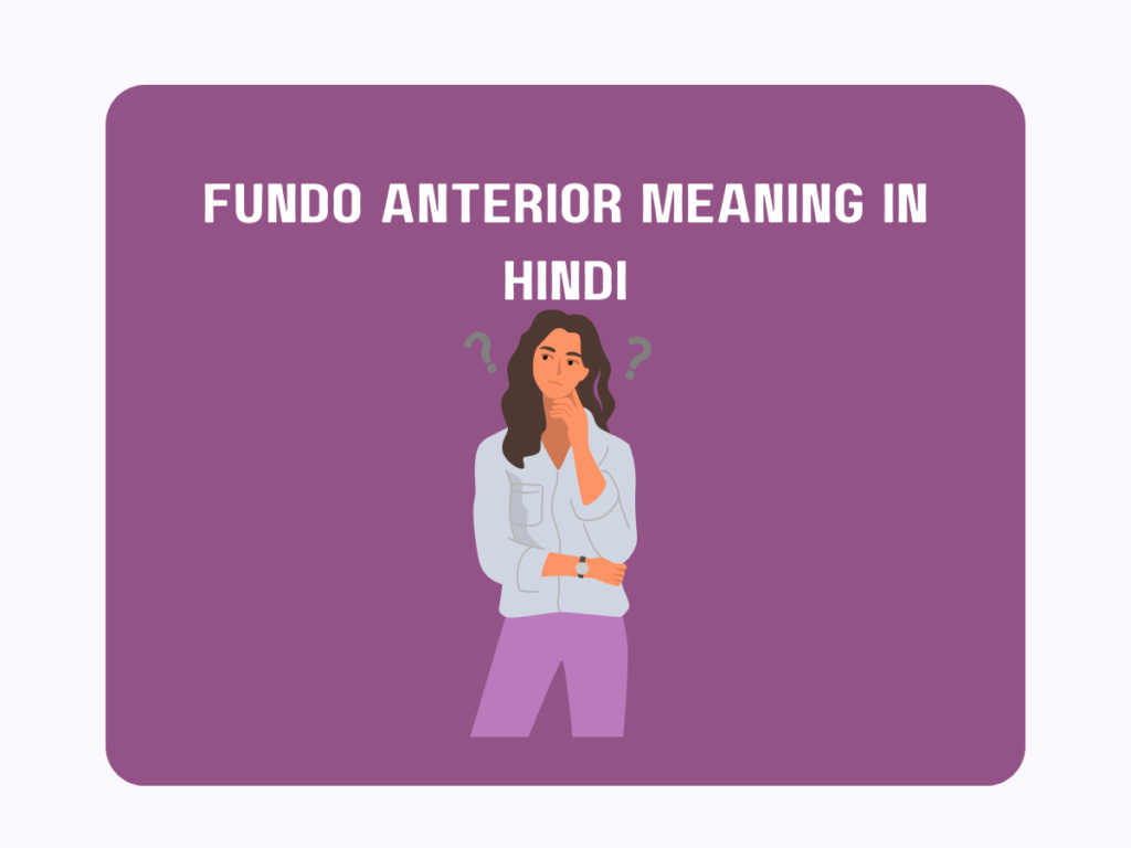 Fundo Anterior Meaning in Hindi