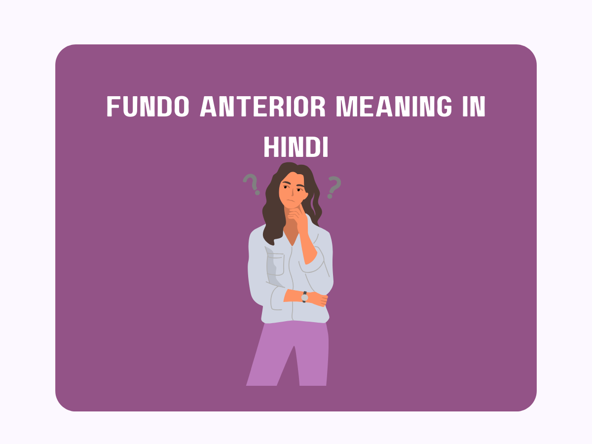 fundo-anterior-meaning-in-hindi-pedia-company