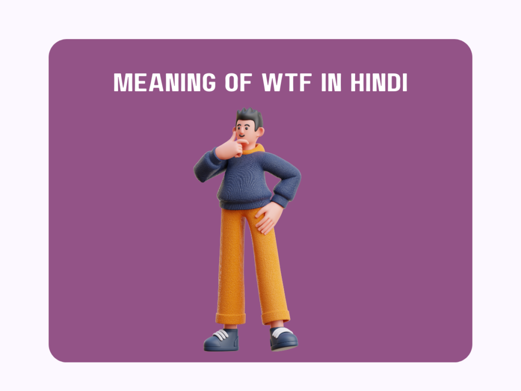 Meaning Of WTF In Hindi