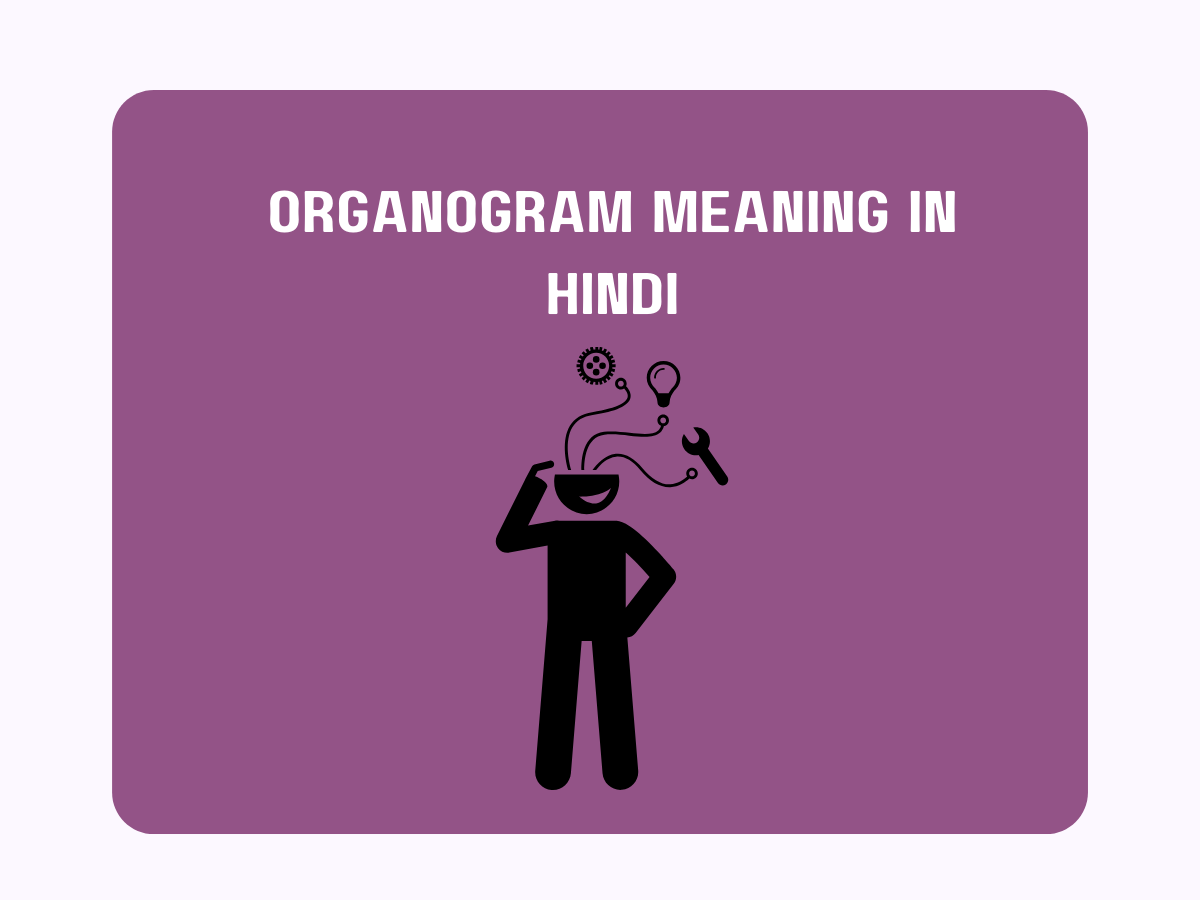 organogram-meaning-in-hindi-pedia-company