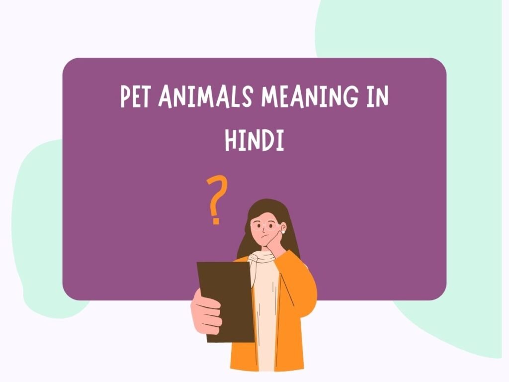 Pet Animals Meaning In Hindi