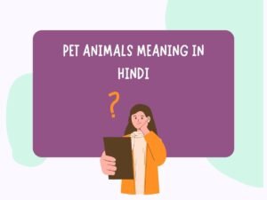 Pet Animals Meaning In Hindi
