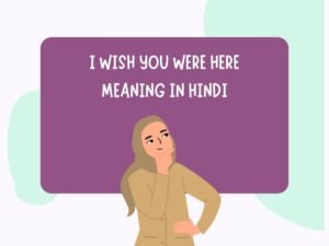 i wish you were here meaning in hindi