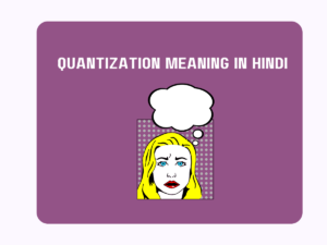 Quantization Meaning In Hindi