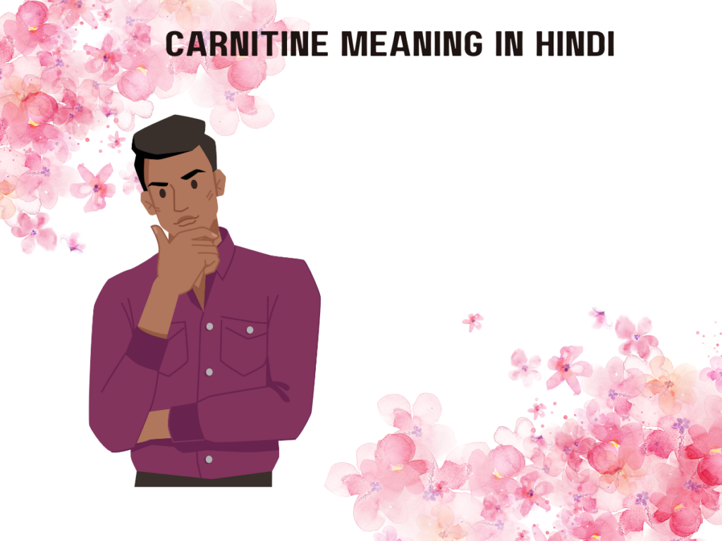 L- Carnitine Meaning In Hindi